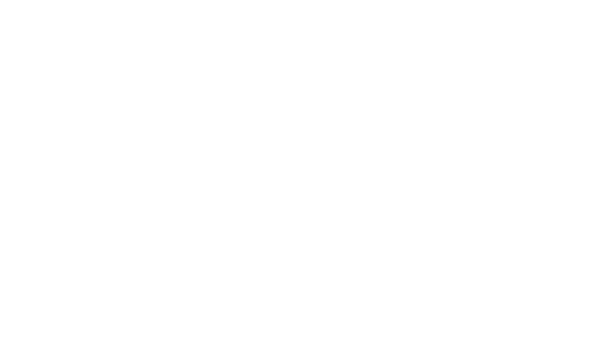 ALSA Academy Logo